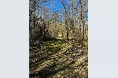 0 Conniston Road, Chatsworth, GA 30705 - Photo 11