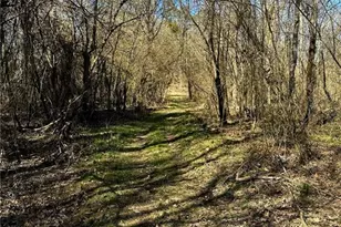 0 Conniston Rd, Chatsworth, GA 30705 - Photo 11