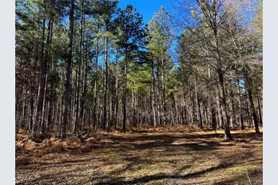 0 Conniston Road, Chatsworth, GA 30705 - Photo 13