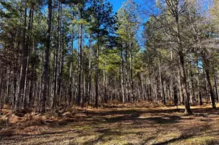 0 Conniston Rd, Chatsworth, GA 30705 - Photo 13