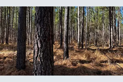 0 Conniston Road, Chatsworth, GA 30705 - Photo 17