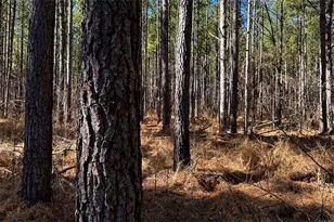 0 Conniston Rd, Chatsworth, GA 30705 - Photo 17