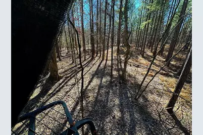 0 Conniston Road, Chatsworth, GA 30705 - Photo 9