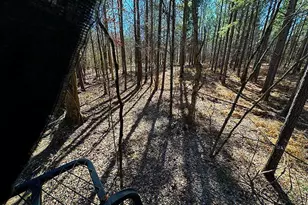 0 Conniston Rd, Chatsworth, GA 30705 - Photo 9