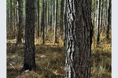 0 Conniston Road, Chatsworth, GA 30705 - Photo 19