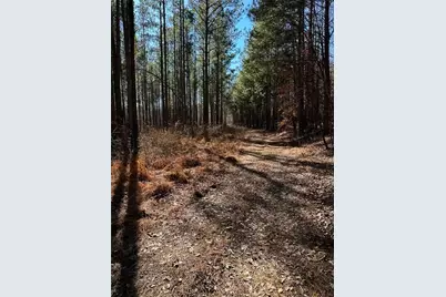 0 Conniston Road, Chatsworth, GA 30705 - Photo 15