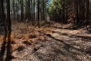 0 Conniston Rd, Chatsworth, GA 30705 - Photo 15