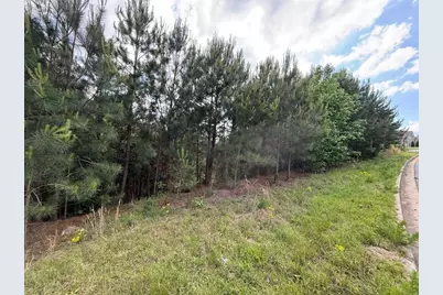 40 Arbor Springs Parkway, Newnan, GA 30265 - Photo 5