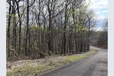 189 St Andrews Way, Ellijay, GA 30536 - Photo 27