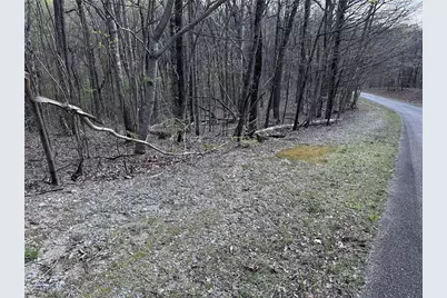 189 St Andrews Way, Ellijay, GA 30536 - Photo 11