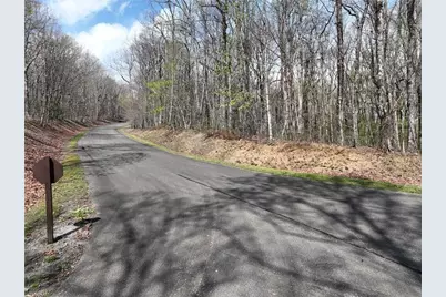 189 St Andrews Way, Ellijay, GA 30536 - Photo 29