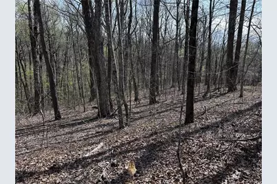 189 St Andrews Way, Ellijay, GA 30536 - Photo 13