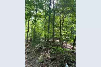 220 Yanegwa Knoll, Dawsonville, GA 30534 - Photo 9