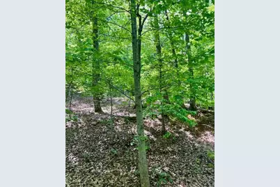 220 Yanegwa Knoll, Dawsonville, GA 30534 - Photo 1