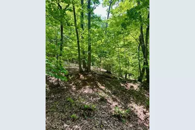 220 Yanegwa Knoll, Dawsonville, GA 30534 - Photo 3