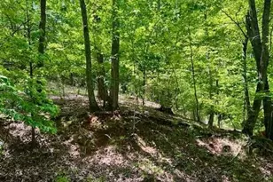 220 Yanegwa Knoll, Dawsonville, GA 30534 - Photo 3