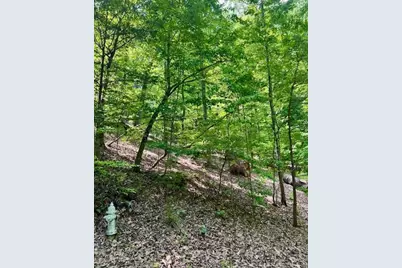 220 Yanegwa Knoll, Dawsonville, GA 30534 - Photo 5