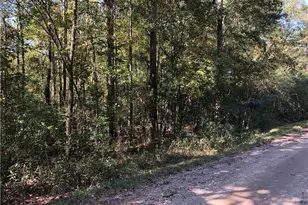 0 Coady Rd, Jackson, GA 30233 - Photo 1