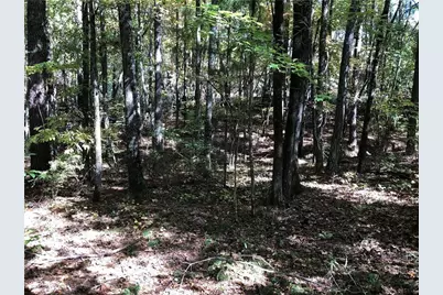 0 Coady Road, Jackson, GA 30233 - Photo 3