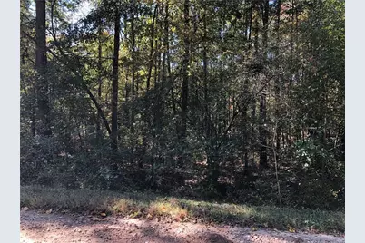 0 Coady Road, Jackson, GA 30233 - Photo 5