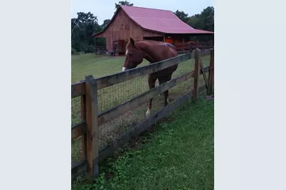 1096 Sutton Mill Road, Clarkesville, GA 30523 - Photo 81