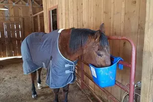 1096 Sutton Mill Rd, Clarkesville, GA 30523 - Photo 71