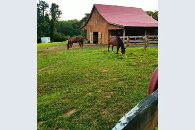 1096 Sutton Mill Road, Clarkesville, GA 30523 - Photo 5