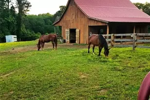 1096 Sutton Mill Rd, Clarkesville, GA 30523 - Photo 5