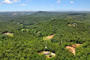 60 Dovetail Ln, Talking Rock, GA 30175 - Photo 59