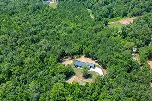 60 Dovetail Ln, Talking Rock, GA 30175 - Photo 57