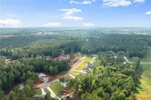 110 Liberty Freedom Ln, Maysville, GA 30558 - Photo 43