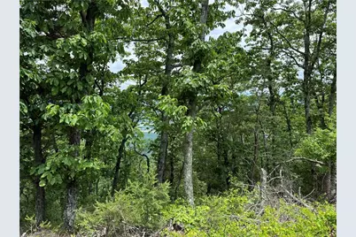 157 Hwy, Menlo, GA 30731 - Photo 7