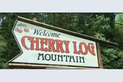 137 Ascherman Court, Blue Ridge, GA 30513 - Photo 35