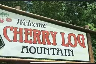 137 Ascherman Court, Blue Ridge, GA 30513 - Photo 35