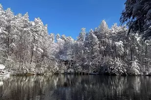 137 Ascherman Court, Blue Ridge, GA 30513 - Photo 37