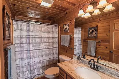 137 Ascherman Court, Blue Ridge, GA 30513 - Photo 19