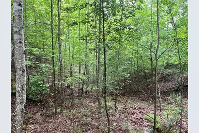 395 Able Road, Waleska, GA 30183 - Photo 19