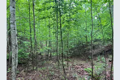 395 Able Road, Waleska, GA 30183 - Photo 21