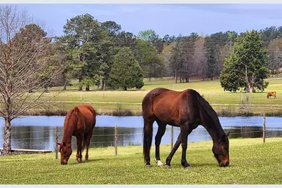 947 Bellhouse Road, Macon, GA 31217 - Photo 107