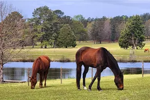 947 Bellhouse Rd, Macon, GA 31217 - Photo 107