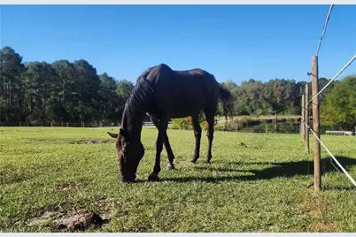 947 Bellhouse Road, Macon, GA 31217 - Photo 105