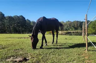 947 Bellhouse Rd, Macon, GA 31217 - Photo 105