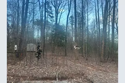 38 &51 Mountain Crest Road, Dawsonville, GA 30534 - Photo 5