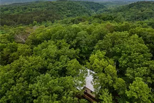 836 Sulphur Springs Rd, Fairmount, GA 30139 - Photo 33