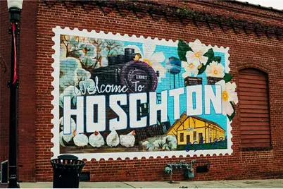 824 Winding Rose Drive, Hoschton, GA 30548 - Photo 145