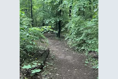 201 Jonquil Spring Road, Woodstock, GA 30188 - Photo 67