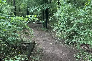 201 Jonquil Spring Rd, Woodstock, GA 30188 - Photo 67