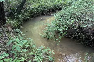 201 Jonquil Spring Rd, Woodstock, GA 30188 - Photo 69