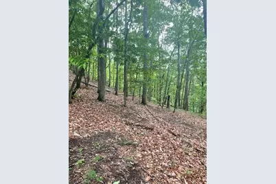 356 Orieole Court, Ranger, GA 30734 - Photo 7