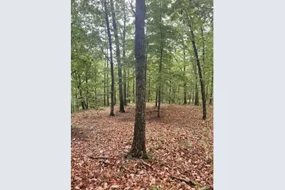 356 Orieole Court, Ranger, GA 30734 - Photo 9